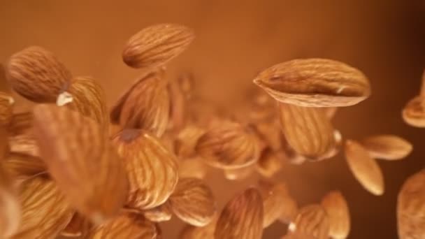 Super Slow Motion Detail Shot Almonds Falling Brown Background 1000 — Vídeo de Stock