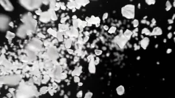 Super Slow Motion Detail Skott Salt Faller Svart Bakgrund 1000Fps — Stockvideo