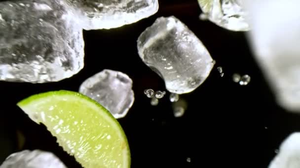 Super Slow Motion Shot Lime Slices Ice Cubes Falling Black — Αρχείο Βίντεο