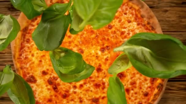 Super Slow Motion Shot Basil Leafs Falling Fresh Pizza Prędkością — Wideo stockowe