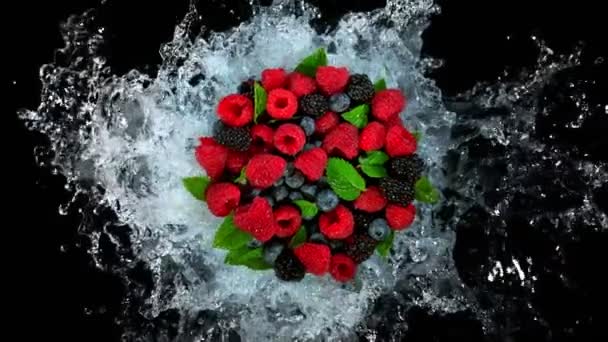 Super Slow Motion Shot Fresh Berries Water Splash Isolated Black — стокове відео