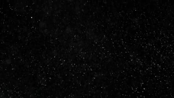 Super Slow Motion Shot Real Snow Falling Isolated Black Background — Stock Video