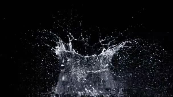 超慢速运动的水冠飞溅分离在黑色背景在1000Fps 用高速摄像机拍摄 — 图库视频影像