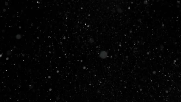 Super Slow Motion Shot Real Snow Falling Απομονωμένο Μαύρο Φόντο — Αρχείο Βίντεο
