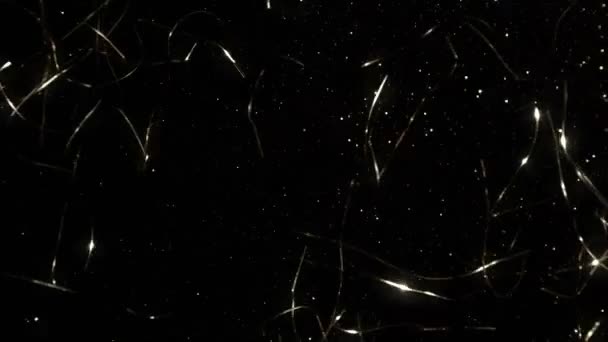 Super Slow Motion Shot Golden Blittering Confetti Tło Przy 1000Fps — Wideo stockowe
