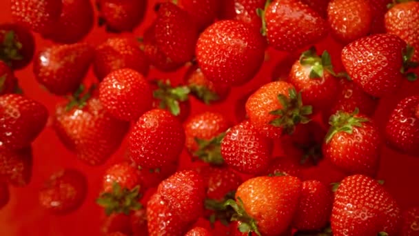 Super Slow Motion Shot Fresh Strawberries Red Background Flying Camera — Stok Video