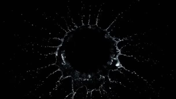 Super Slow Motion Top Shot Water Splash Απομονωμένο Μαύρο Φόντο — Αρχείο Βίντεο