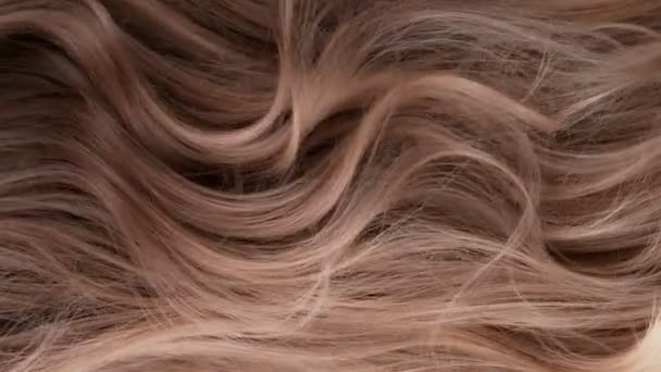 Super Slow Motion Shot Waving Light Brown Highlighted Hair 1000 — стоковое видео