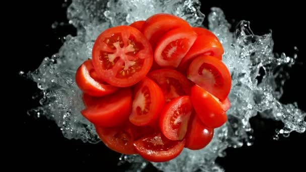 Super Slow Motion Shot Fresh Tomato Vágások Víz Fröccsenés Elszigetelt — Stock videók