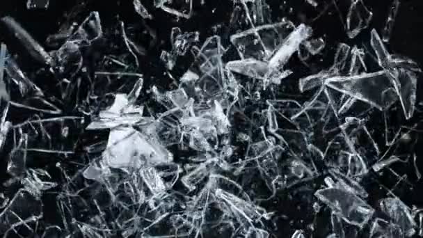Super Slow Motion Shot Falling Shattering Glass Shards Isolated Black — Stock Video