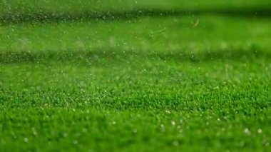1000 fps 'de Süper Yavaş Golf Vuruşu Çekimi. 4K 'da Yüksek Hız Sinema Kamerasında Çekim.