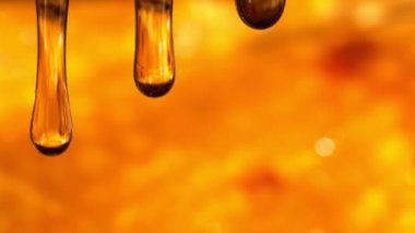 Super Slow Motion Macro shot 'ı Altın bal peteği arka planında 1000 fps' de. 4K 'da Yüksek Hız Sinema Kamerası ile çekildi.