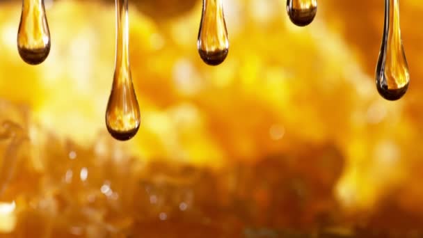 Super Slow Motion Makro Skott Droppande Honung Golden Honeycomb Bakgrund — Stockvideo