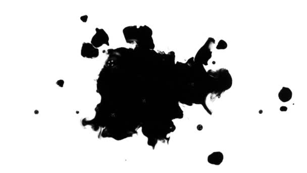 超慢速运动的黑色墨水滴分离在白色背景下1000 Fps 用4K解像度的高速电影摄影机拍摄 — 图库视频影像
