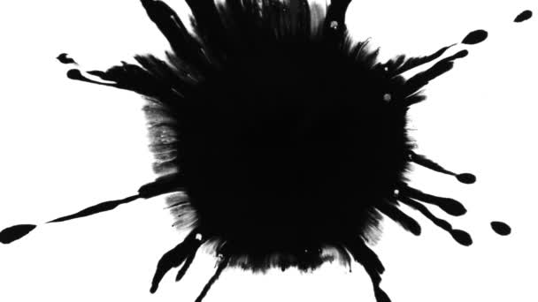 Super Slow Motion Shot Von Black Ink Drop Isoliert Auf — Stockvideo
