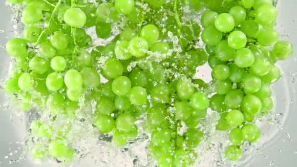 Super Slow Motion Shot Fresh Green Grapes Falling Water White — Video