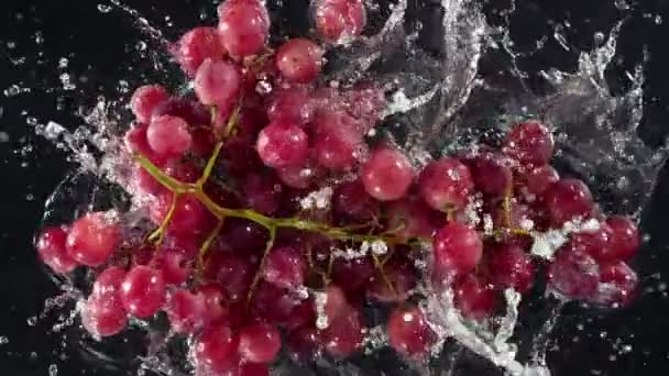 Super Slow Motion Shot Fresh Red Grape Wine Falling Water — Vídeos de Stock