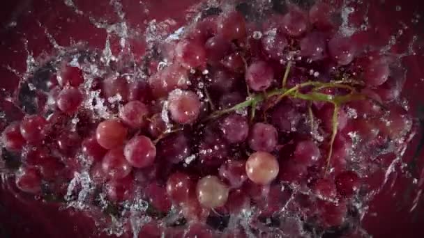 Super Slow Motion Skott Färska Röda Druvor Vin Faller Vatten — Stockvideo