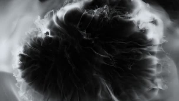 Super Slow Motion Shot Abstract Flowing Smoke Isolated Black 1000Fps — Vídeo de Stock