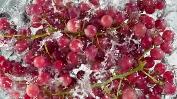 Super Slow Motion Shot Fresh Red Grape Wine Falling Water — Video