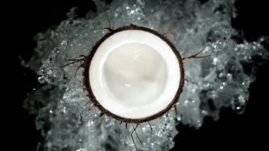 Super Slow Motion Shot of Fresh Cutted Coconut and Water Splash Isolated on Black at 1000fps. Filmed with High Speed Cinema Camera at 4K.