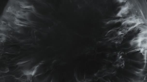 Супер Повільний Постріл Абстрактного Потоку Диму Ізольовано Чорному Швидкістю 1000 — стокове відео