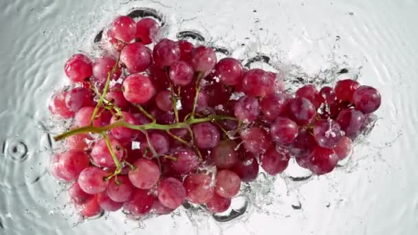 Super Slow Motion Shot Fresh Red Grape Wine Falling Water — Stock video