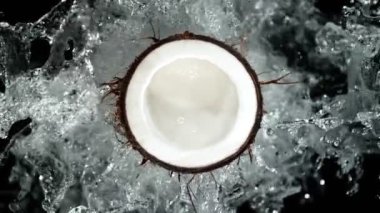 Super Slow Motion Shot of Fresh Cutted Coconut and Water Splash Isolated on Black at 1000fps. Filmed with High Speed Cinema Camera at 4K.