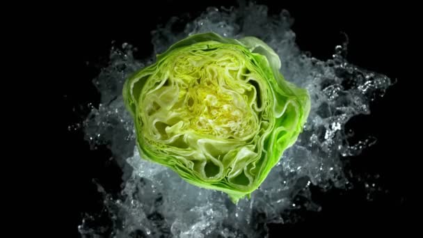 Super Slow Motion Shot Fresh Green Lettuce Water Splash Isolated — Video