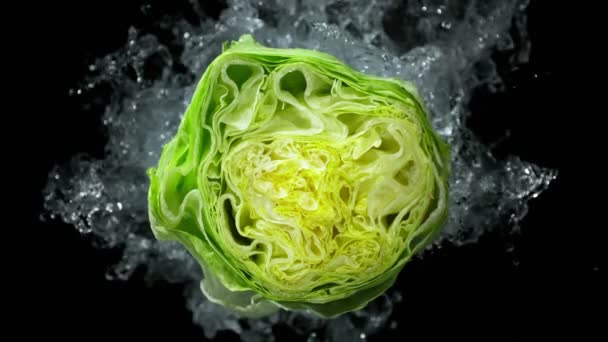 Super Slow Motion Shot Fresh Green Lettuce Water Splash Isolated — Wideo stockowe