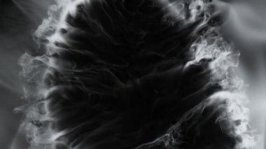 Super Slow Motion Shot of Abstract Flowing Smoke Isolated on Black at 1000fps. Filmed on high speed cinema camera in 4k..