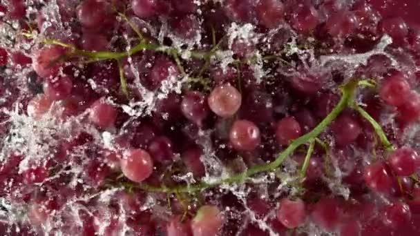 Super Slow Motion Shot Fresh Red Grape Wine Falling Water — Stock video