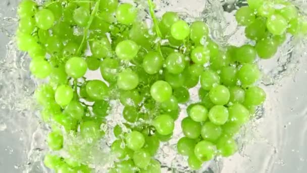Super Slow Motion Shot Fresh Green Grapes Falling Water White — Stock video