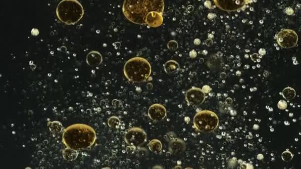 Super Slow Motion Shot Moving Oil Bubbles Isolated Black Background — Stock Video