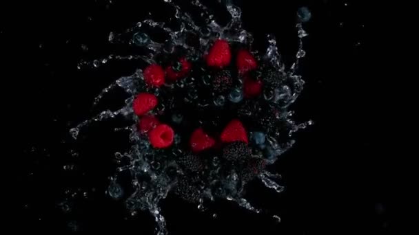 Сверхмедленный Кадр Вращающихся Взорванных Ягод Плещущей Водой Черном Скоростью 1000 — стоковое видео