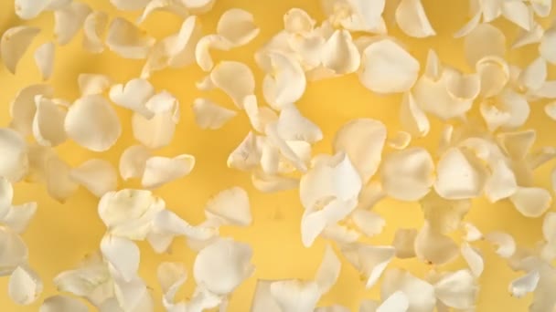 Super Slow Motion Shot Flying White Rose Petals Camera Yellow — Vídeos de Stock