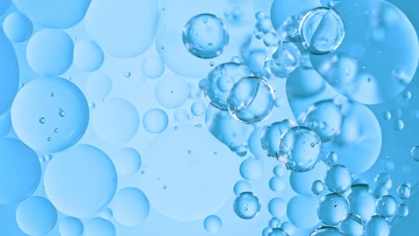 Super Slow Motion Shot Moving Oil Bubbles Blue Background 1000Fps — Stok Video