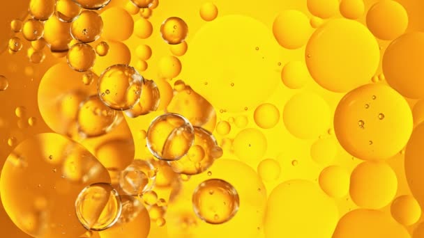 Super Slow Motion Shot Moving Oil Bubbles Golden Background 1000Fps — Stock Video