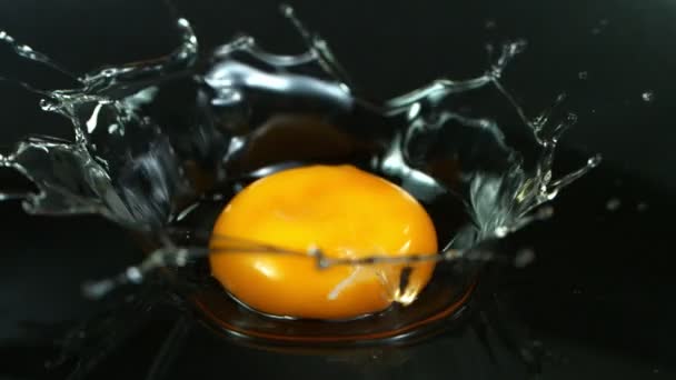 Super Slow Motion Shot Egg Splash 1000 Fps Filmed High — Stockvideo
