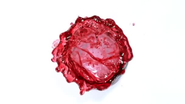 Super Slow Motion Shot Red Wine Vortex Splash Isolated White — ストック動画