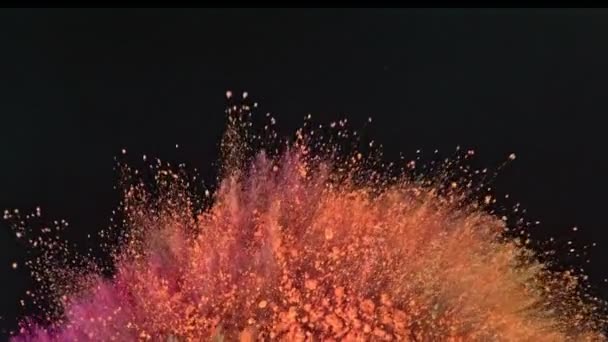 Super Slow Motion Shot Color Powder Explosion Απομονωμένο Μαύρο Φόντο — Αρχείο Βίντεο
