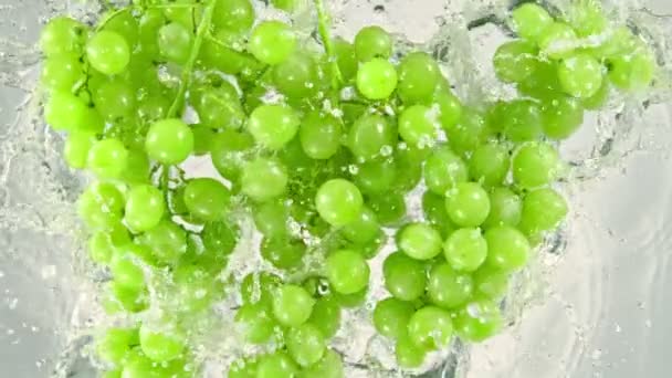 Super Slow Motion Shot Fresh Green Grapes Falling Water White — Stock Video