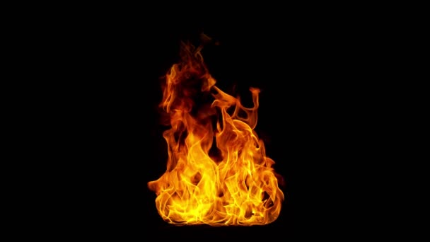 Super Slow Motion Shot Real Fire Flame Isolated Black Background — Stok video