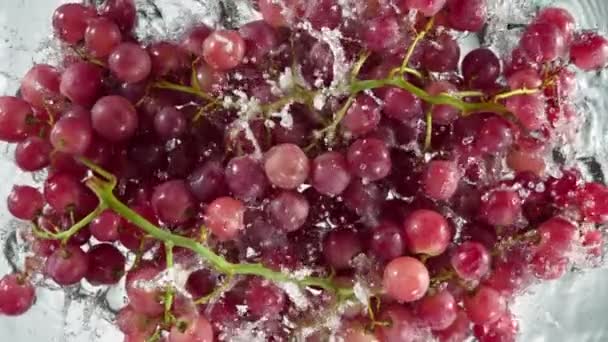 Super Slow Motion Shot Fresh Red Grape Wine Falling Water — Stockvideo