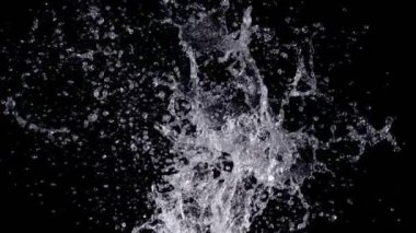 Super Slow Motion Shot of Real Water Splash Explosion from Isolated on Black at 1000fps. Filmed on high speed cinema camera in 4k..
