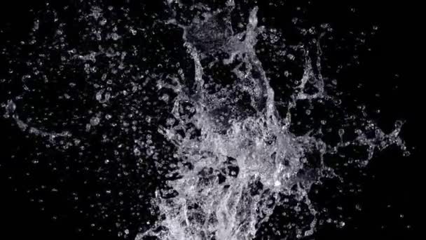 超慢速运动的真正的水飞溅爆炸从孤立的黑色在1000Fps 用4K高速摄像机拍摄 — 图库视频影像