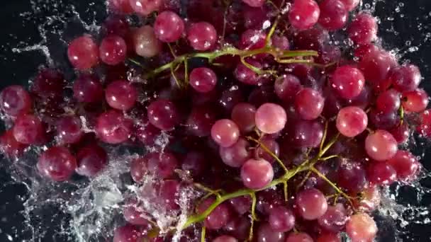 Super Slow Motion Shot Świeżego Czerwonego Wina Winogronowego Spadające Wody — Wideo stockowe