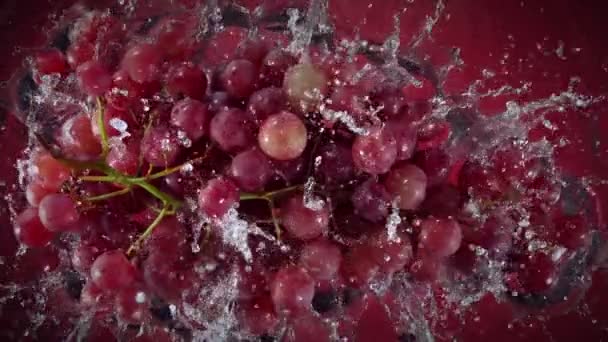 1000 Fpsで紫の背景に水に落ちる新鮮な赤ブドウのワインの超スローモーションショット 4Kで高速シネマカメラで撮影 — ストック動画
