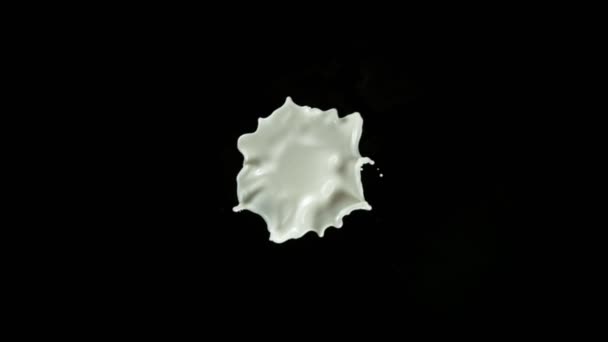 牛奶飞溅的超级慢镜头以1000Fps的速度飞向被黑色隔离的相机 用高速电影摄影机拍摄 — 图库视频影像