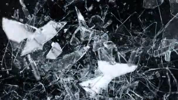Super Slow Motion Shot Falling Shattering Glass Shards Isolated Black — Stock Video